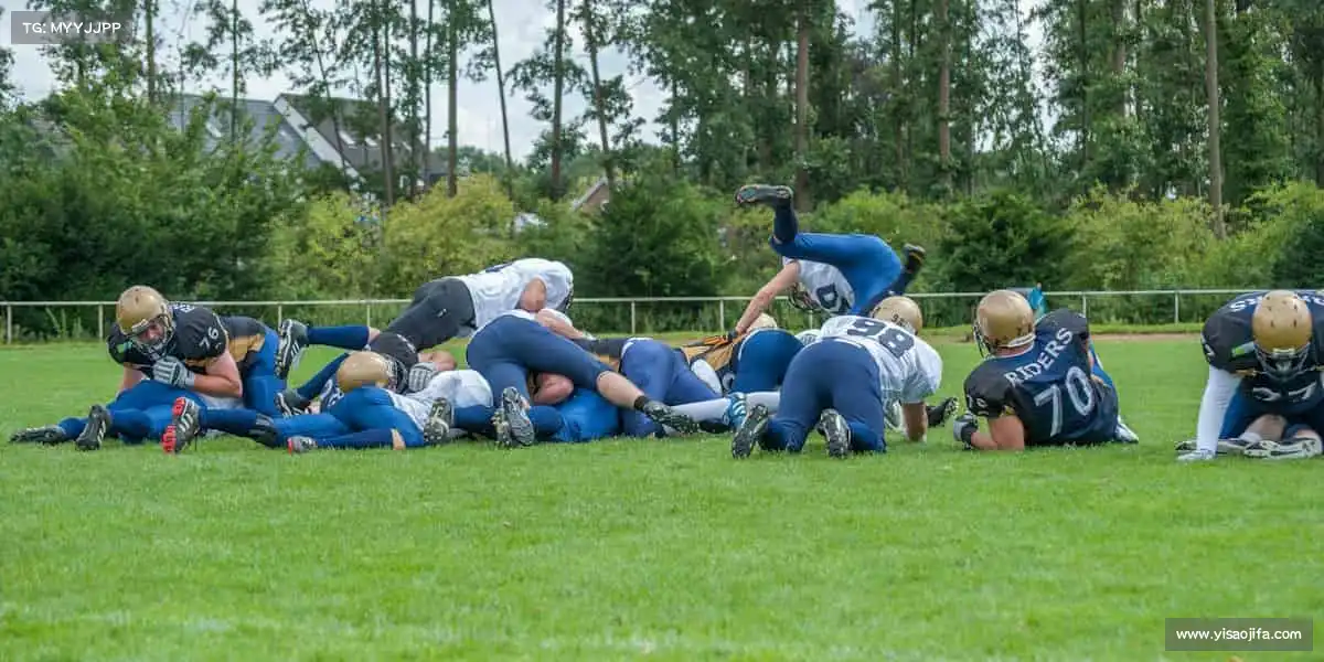 为什么选择我们